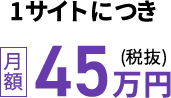 1サイトにつき月額45万円(税抜)